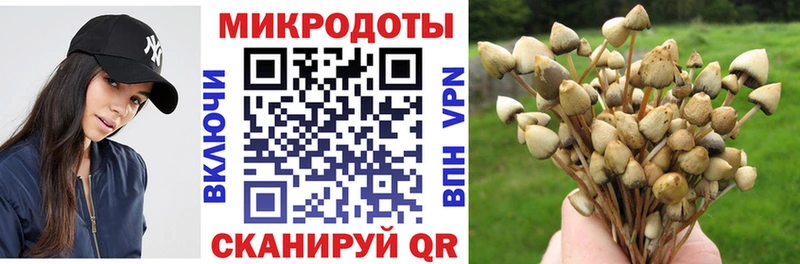 Галлюциногенные грибы Psilocybine cubensis  как найти наркотики  Балахна 