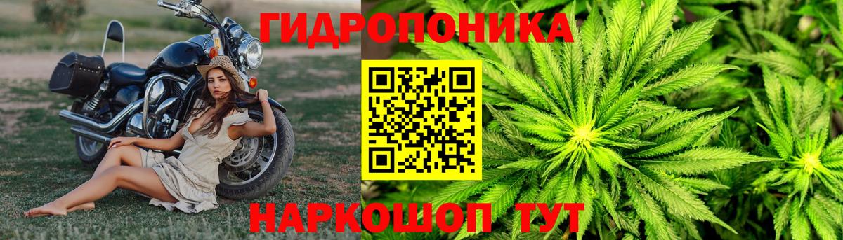 Каннабис THC 21%  Шишки марихуана SATIVA & INDICA  Марихуана индика  Вход с VPN  Балахна  Канабис семена 